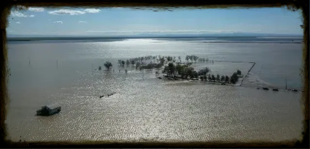 Ekosistem Unik Danau Tulare